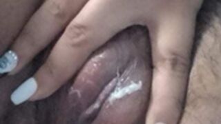 Amiha mexicana 2