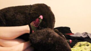 Bathykolpian Bear fuck