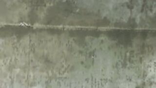 veronica perasso sextape 3