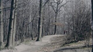 Razvratnye.devushki.avtostopshhicy.1973.HDRip.El.Bandit