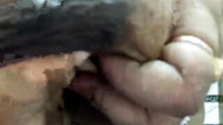 Lusia_9 Milking
