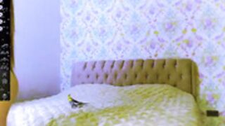 im_jasmine 2023-11-17 2