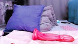 cuty_lucy zero pussy fucker