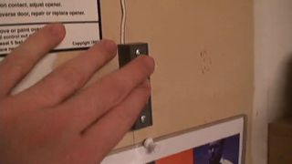 Leia Down's Out To Play With Harley