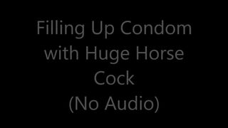 Jerking My Horse Cock Into A XXL Condom