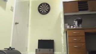 Myalennon sybian ride!