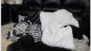 easygoing1 and friend