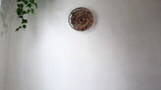 bonus4,squirt 2023_12_02 - 2