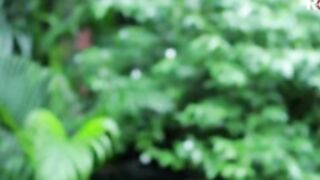 maahi khan muskan indian desi slut