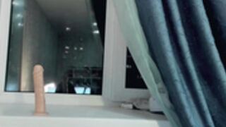 Asya_sweet_ riding on windowsill