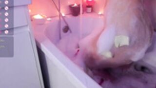 Kashito_Toto 2023-05-15 bath show 3