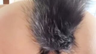 Hailey Queen Foxtail Buttplug