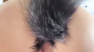 Hailey Queen Foxtail Buttplug