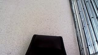 kiratequila recording