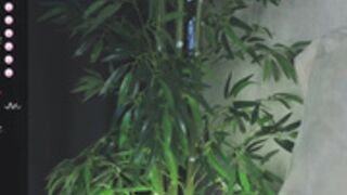 Classysonya puts hand downstairs