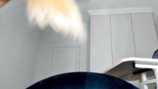 BarbieX_MyFreeCams_2024-02-10_05-10-09