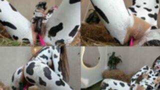 shena_nomy cow-girl riding