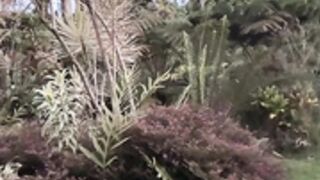 Kaileeshy 15-06-2022