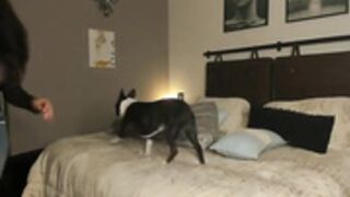 Lindabluee, deep fingering doggie.