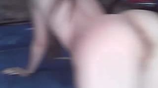 161211.NiaCat.avi