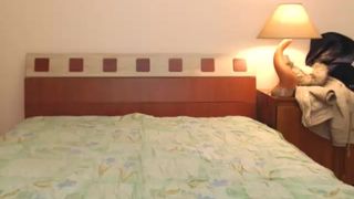 Lollipop995 17032016