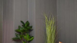 Calliadesigner 20240316 2