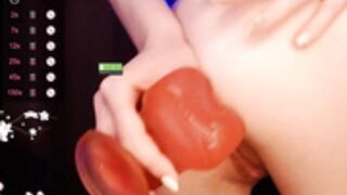 annelitt anal 2