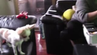 nicole love bukkake bts