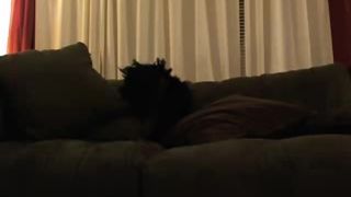 emmylove hi def pussy play