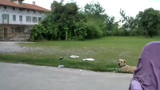 Brunettealesya cam recording 2015 June 24-19.22