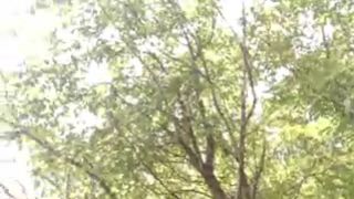 BestBabyGirls free cam recording 2015 June 24_05-48