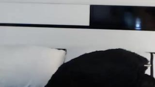 Saritabelle private recording 2015 June 10_11-28-41