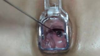 Tinqerbell private recording 2015 June 08_03-04-25