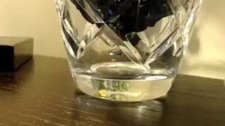 Persianangel cam recording 2015 June 09-15.45