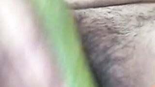 Manmohini123 cucumber