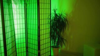 Excitease 2024-03-20 [4/4]