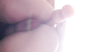 harleyhex 44