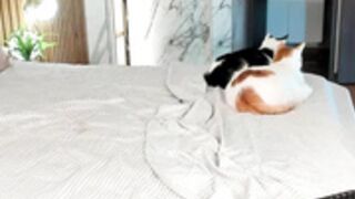 abie_owen 2024_05_04- 3