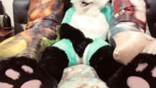 female fursuit 2