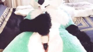 female fursuit