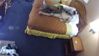 DaboomboomXXX Lavish creampie for a lady sinner