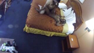DaboomboomXXX Lavish creampie for a lady sinner