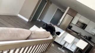 Kimmy Granger BG view2