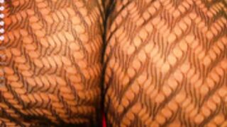 CB_oxlemon_May-11-2024_08-3