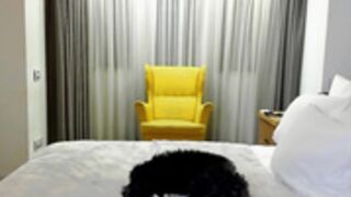 girlboss strip tease