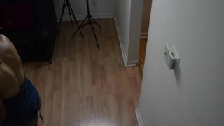 ThoseDamnCows - Finding Anal