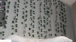 kittyloffe : 2024-04-21