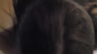 Juju Bergamini GP Compilado