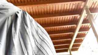 alana15_2024-02-02_17-14