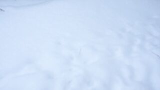 vivid_whit does a snow angel